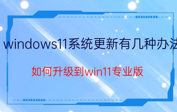 windows11系统更新有几种办法 如何升级到win11专业版？